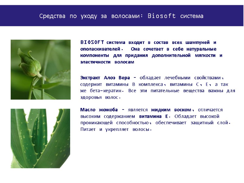 BIOSOFT система входит в состав всех шампуней и ополаскивателей.  Она сочетает в себе